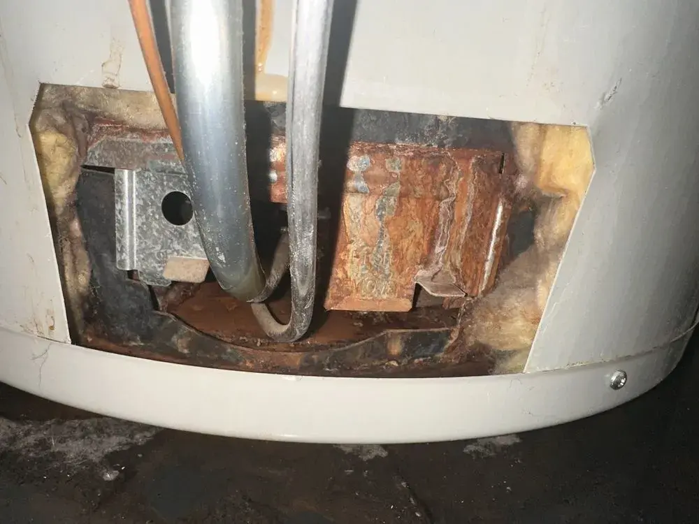 TWH PRO's - Tankless Water Heater Repair & Plumbing